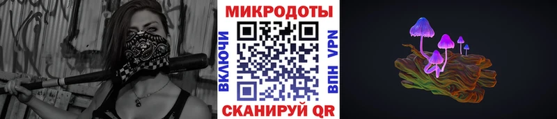 где купить   Губкинский  Псилоцибиновые грибы Psilocybine cubensis 
